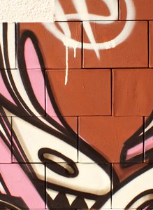 Zürich Graffiti /Red Fabric Wall 
