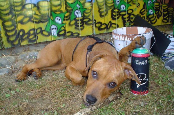 Meeting Of Styles 2005