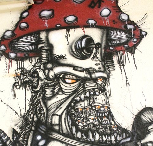 Black Cat Tattoo Studio Graffiti Auftrag