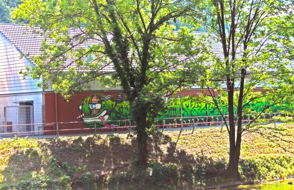 Graffiti Auftrag Stadt Zürich Tausendfüssler 